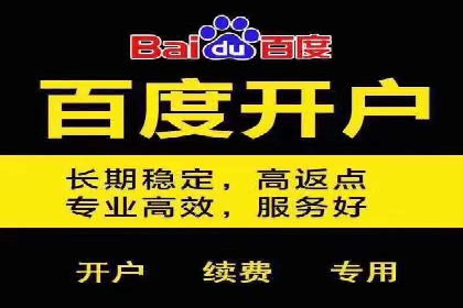 SEM广告投放的竞价策略与效果评估案例