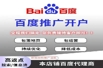 百度竞价包年服务：某行业领导品牌的成功故事