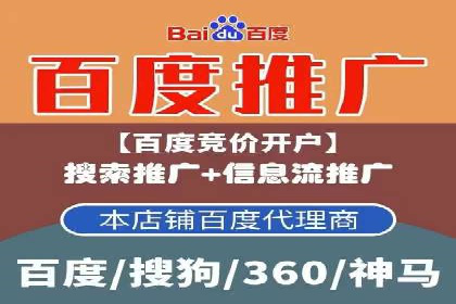 百度推广服务费案例：揭秘成功企业运营秘诀